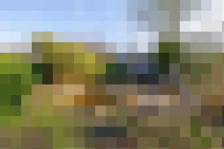 Beneden Veensloot 9 Meeden thumbnail 48