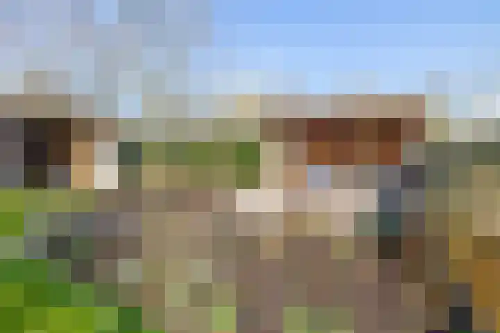 Beneden Veensloot 9 Meeden thumbnail 49