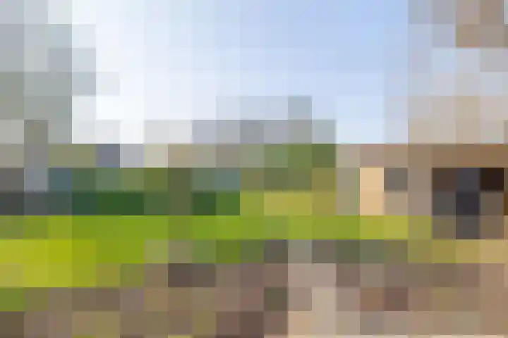 Beneden Veensloot 9 Meeden thumbnail 5