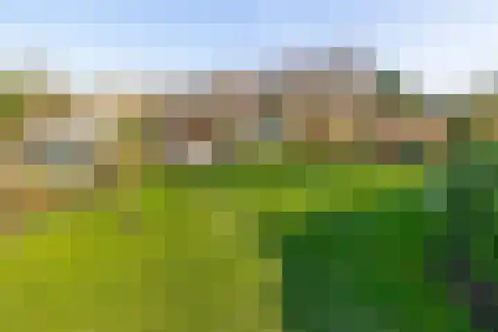 Beneden Veensloot 9 Meeden thumbnail 50