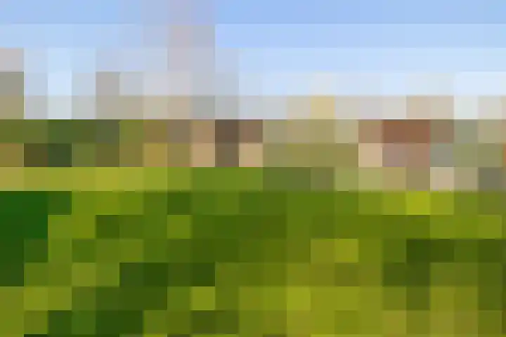 Beneden Veensloot 9 Meeden thumbnail 51