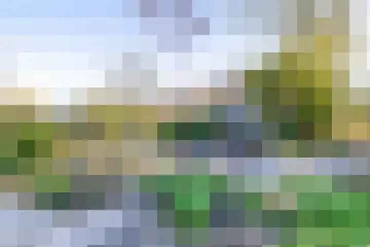 Beneden Veensloot 9 Meeden thumbnail 52