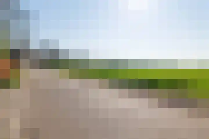 Beneden Veensloot 9 Meeden thumbnail 53