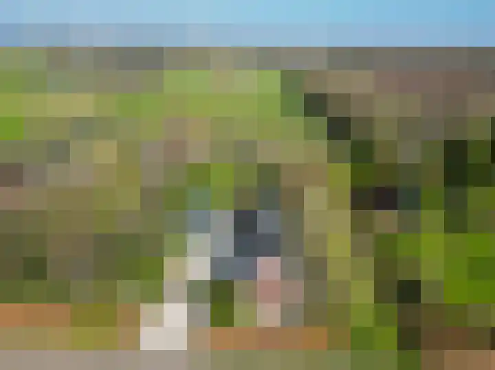 Beneden Veensloot 9 Meeden thumbnail 54