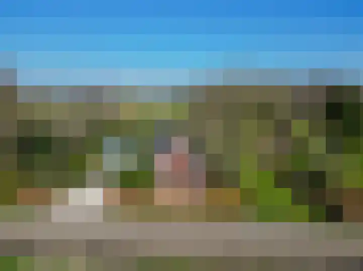 Beneden Veensloot 9 Meeden thumbnail 56