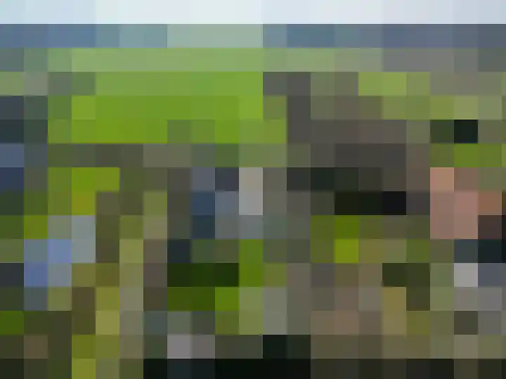 Beneden Veensloot 9 Meeden thumbnail 57