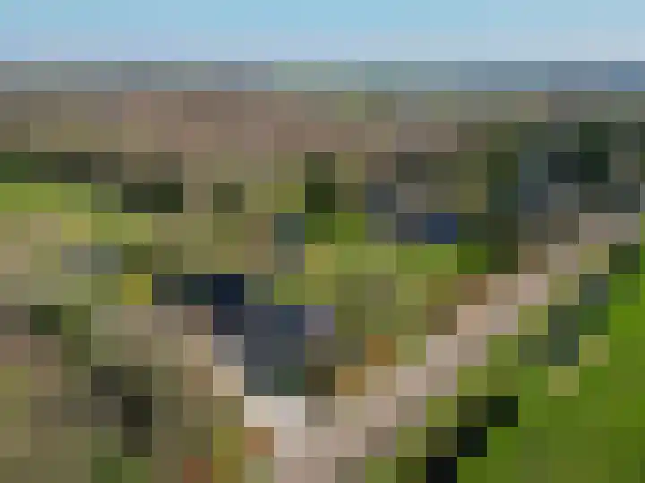 Beneden Veensloot 9 Meeden thumbnail 58