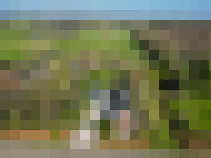 Beneden Veensloot 9 Meeden thumbnail 59