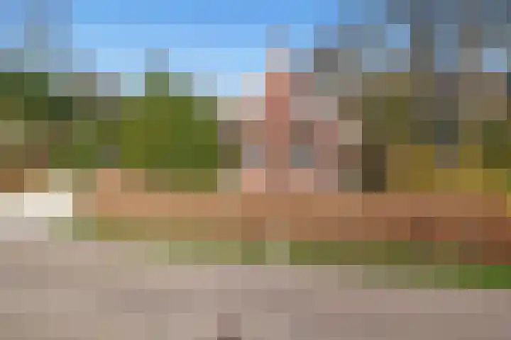 Beneden Veensloot 9 Meeden thumbnail 6