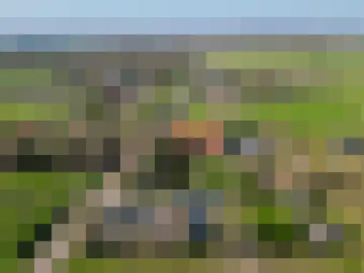 Beneden Veensloot 9 Meeden thumbnail 60