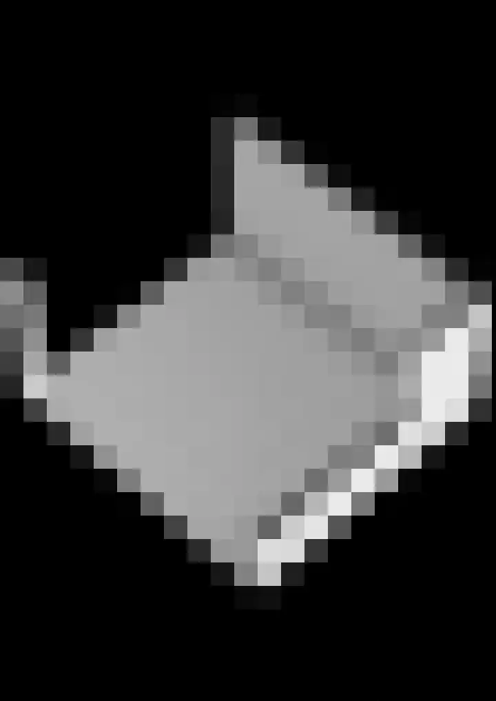 Beneden Veensloot 9 Meeden thumbnail 72