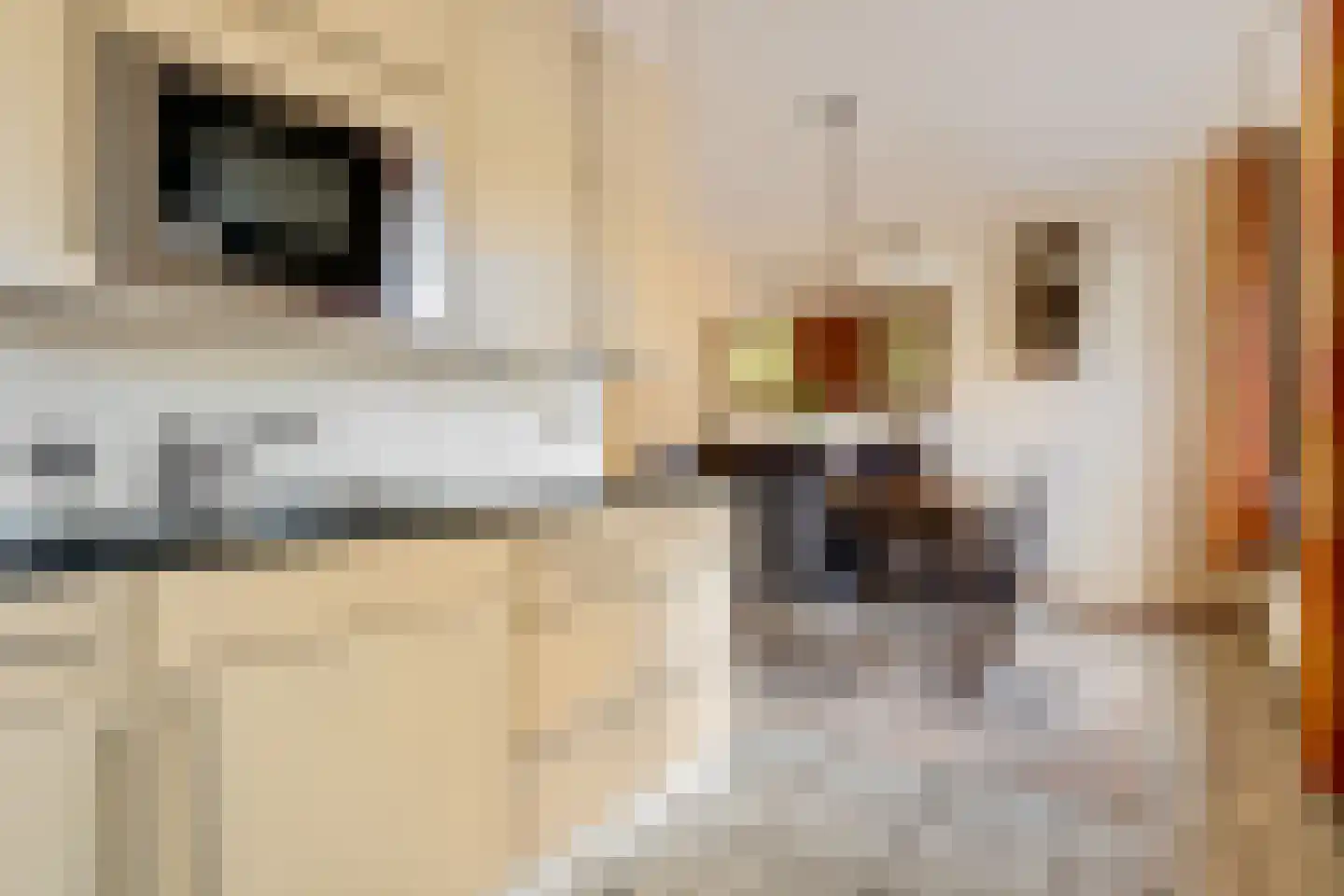 Beneden Verlaat 14 Veendam thumbnail 15