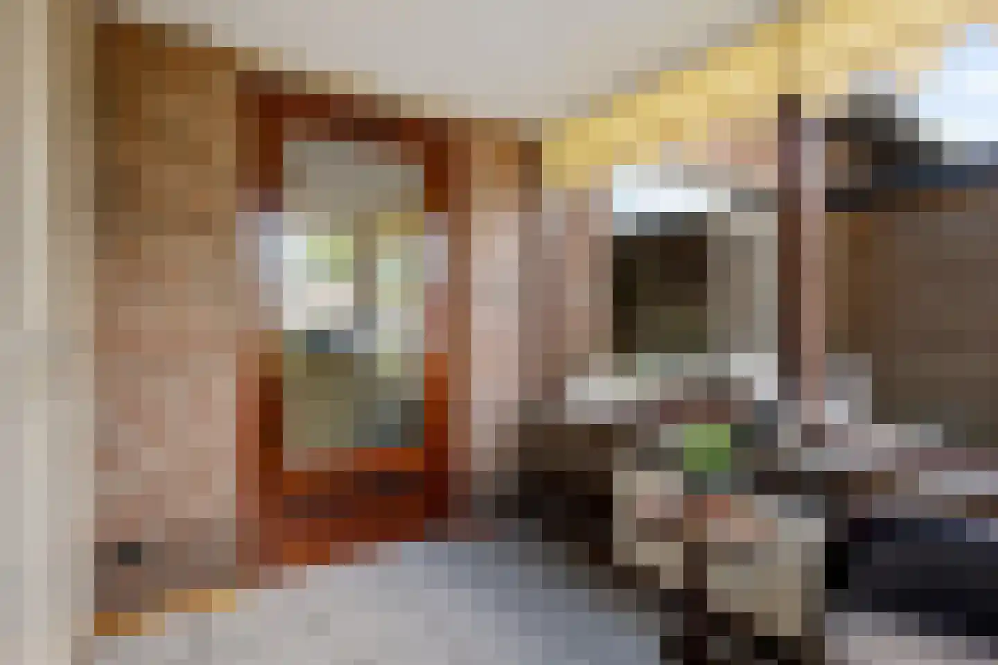 Beneden Verlaat 14 Veendam thumbnail 18