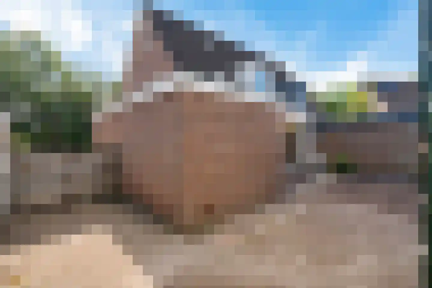 Beneden Verlaat 14 Veendam thumbnail 30