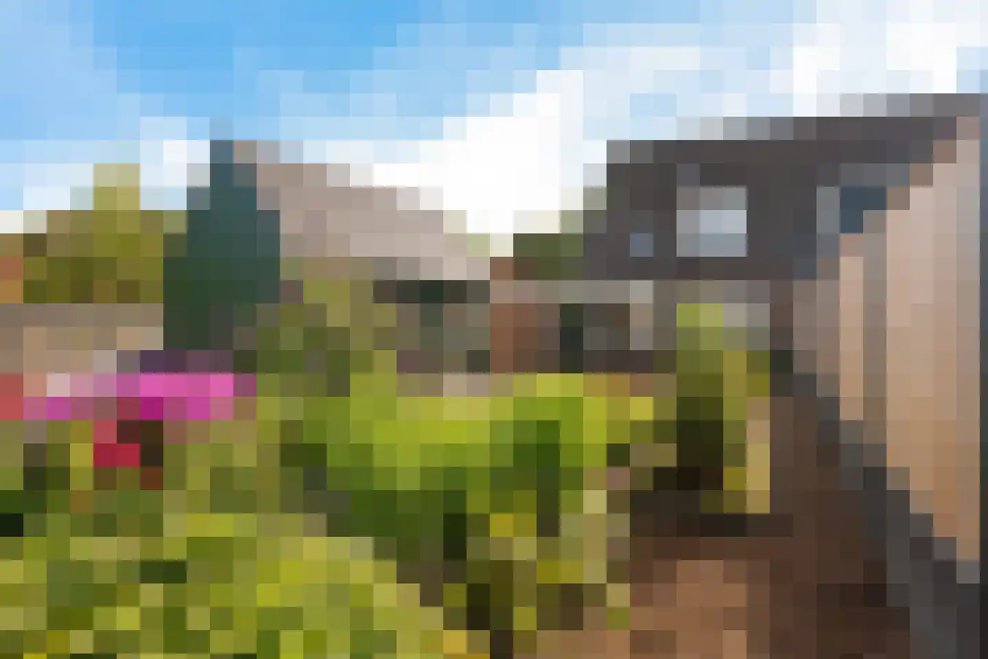 Beneden Verlaat 14 Veendam thumbnail 33