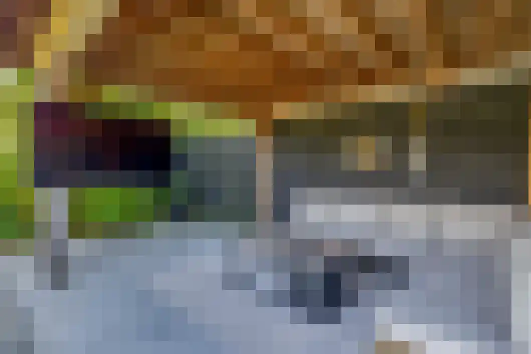 Beneden Verlaat 66 Veendam thumbnail 38