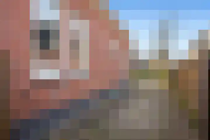 Beneden Westerdiep 33 Veendam thumbnail 52