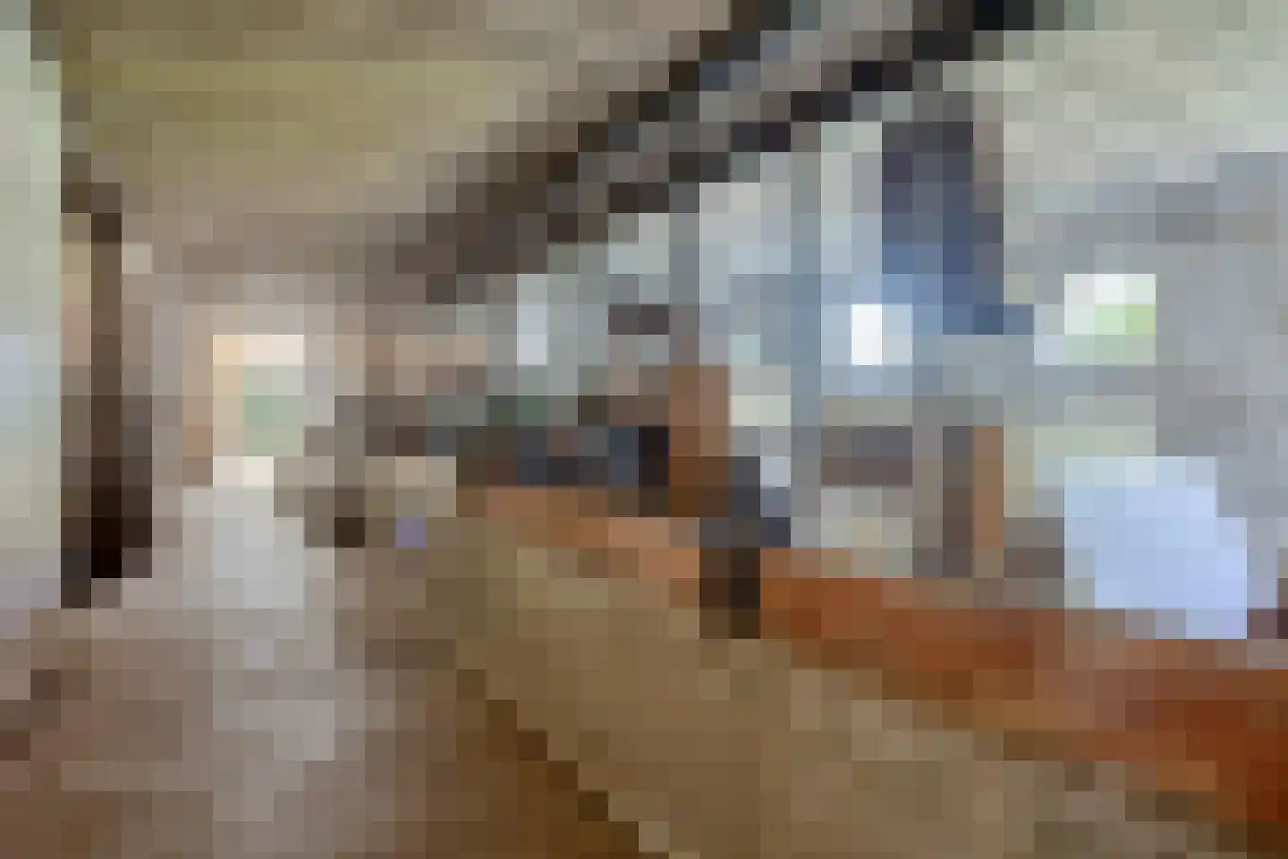 Beneden Westerdiep 89 Veendam thumbnail 57