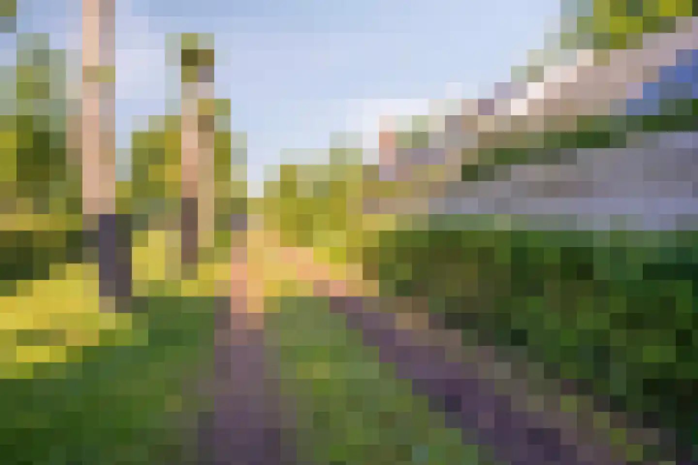 Beneden Westerdiep 89 Veendam thumbnail 66