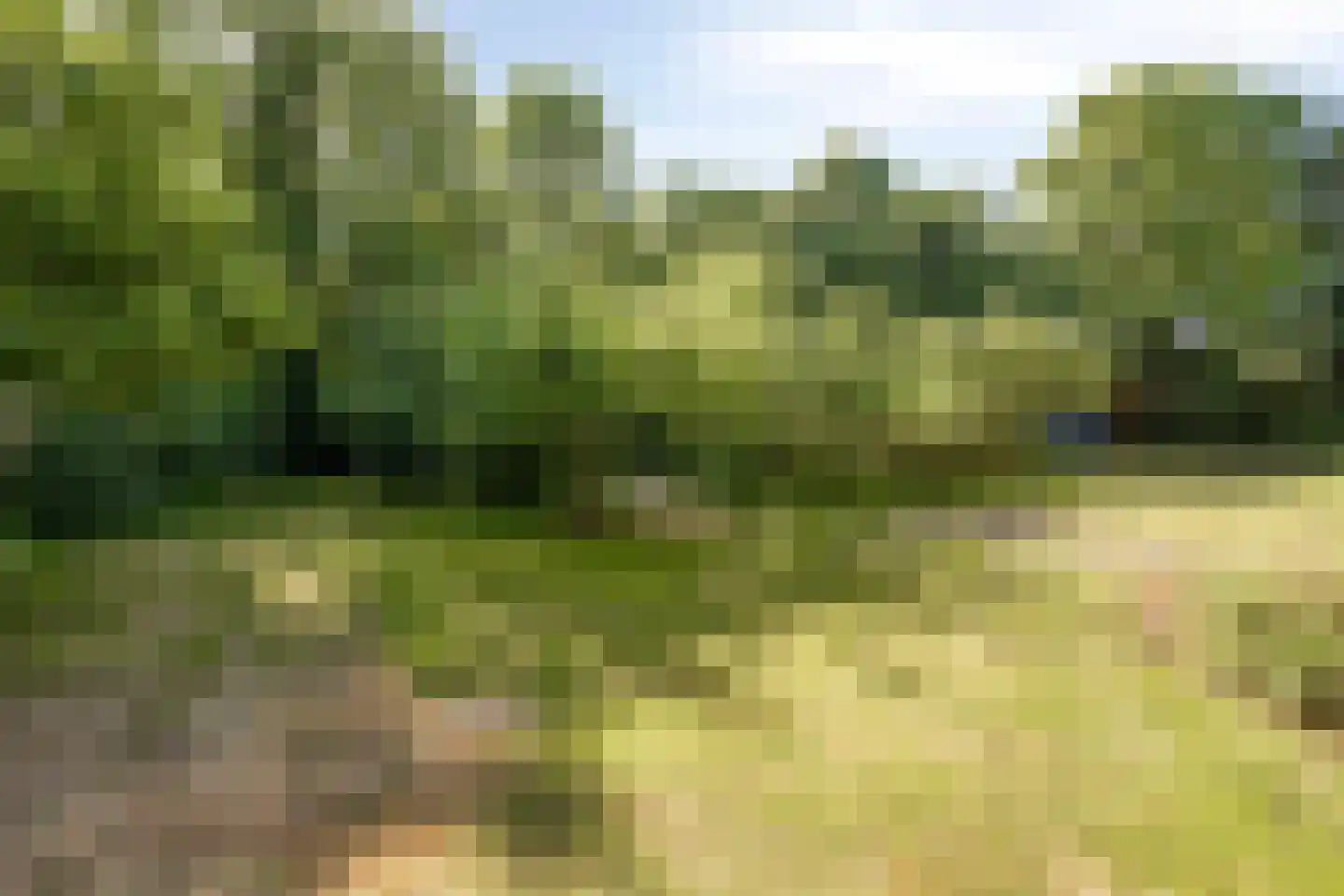 Beneden Westerdiep 89 Veendam thumbnail 71