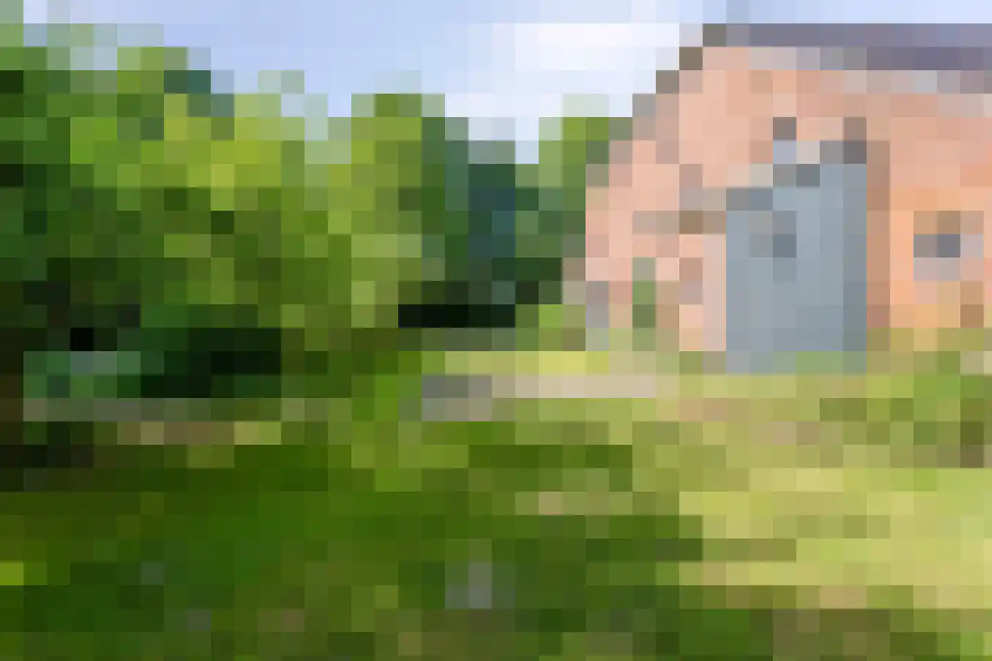 Beneden Westerdiep 89 Veendam thumbnail 73