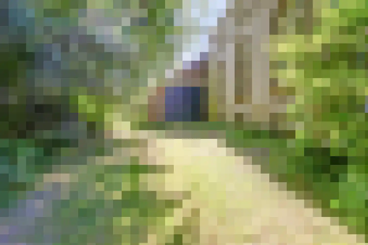Beneden Westerdiep 89 Veendam thumbnail 76