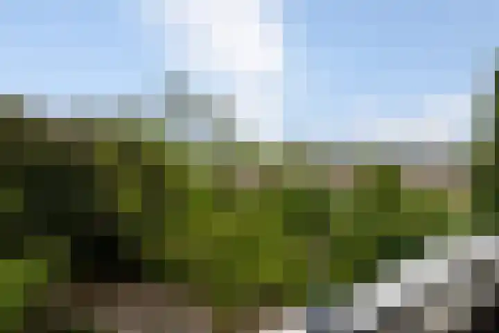 Benedenbaantje 58 Bergen op Zoom thumbnail 30