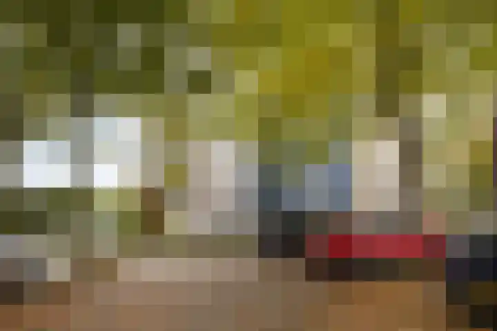 Benedenbaantje 72 Bergen op Zoom thumbnail 19