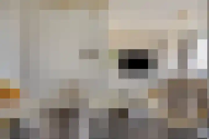 Benedenbaantje 72 Bergen op Zoom thumbnail 5