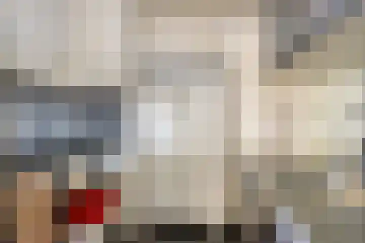 Benedenbaantje 72 Bergen op Zoom thumbnail 8