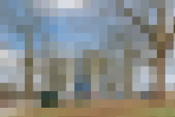 Benedenbaantje 82 Bergen op Zoom thumbnail 46