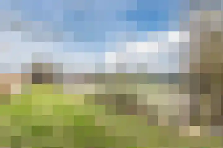 Benedenbaantje 82 Bergen op Zoom thumbnail 47