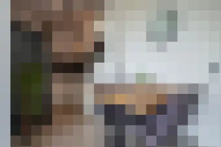 Benedenbaantje 96 Bergen op Zoom thumbnail 4