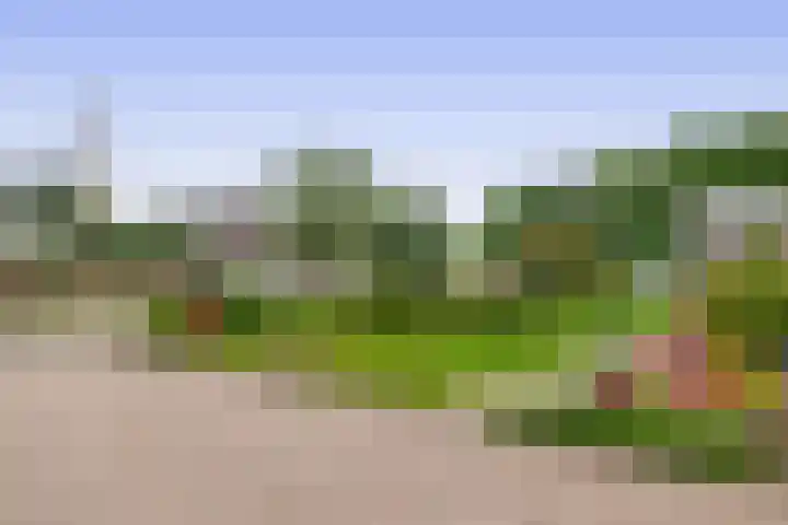 Benedenberg 26 Bergambacht thumbnail 21