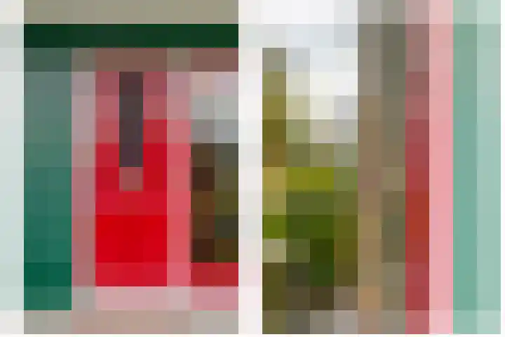 Benedenberg 26 Bergambacht thumbnail 22