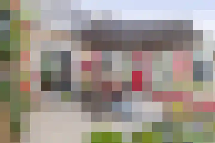 Benedenberg 26 Bergambacht thumbnail 4