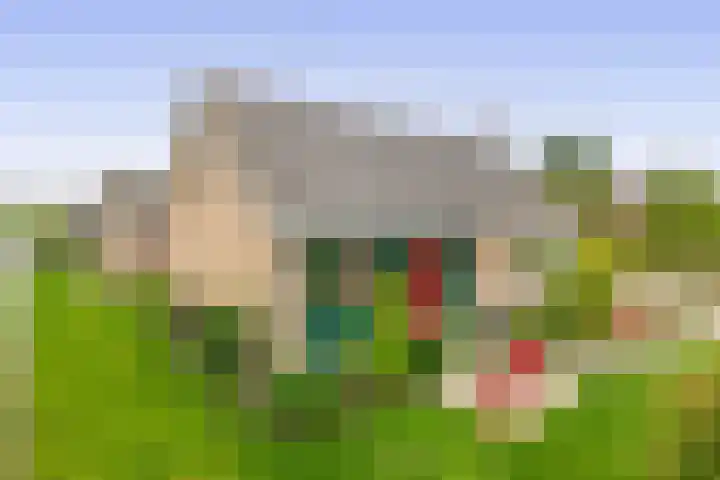 Benedenberg 26 Bergambacht thumbnail 8