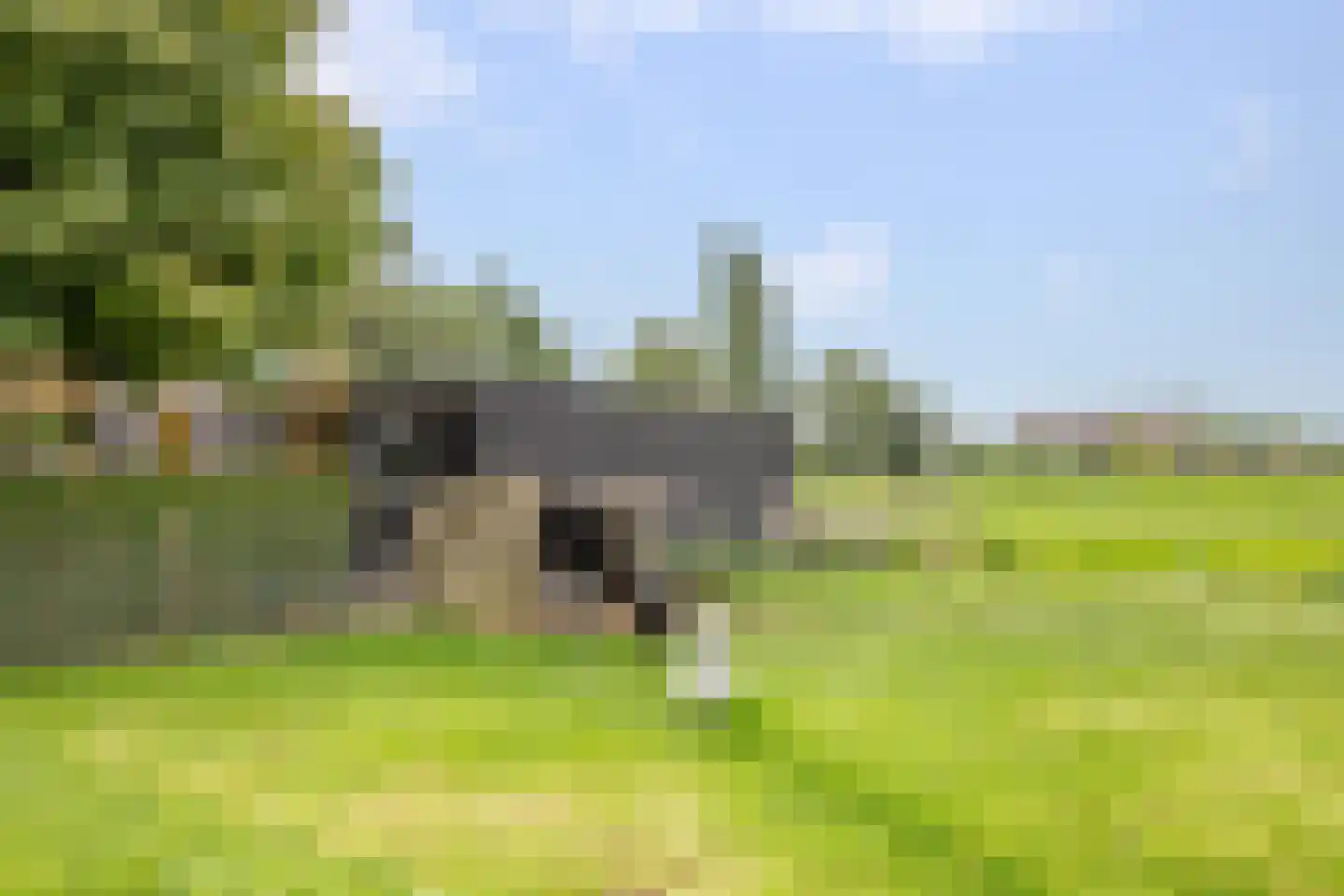 Benedenberg 29 a Bergambacht thumbnail 42