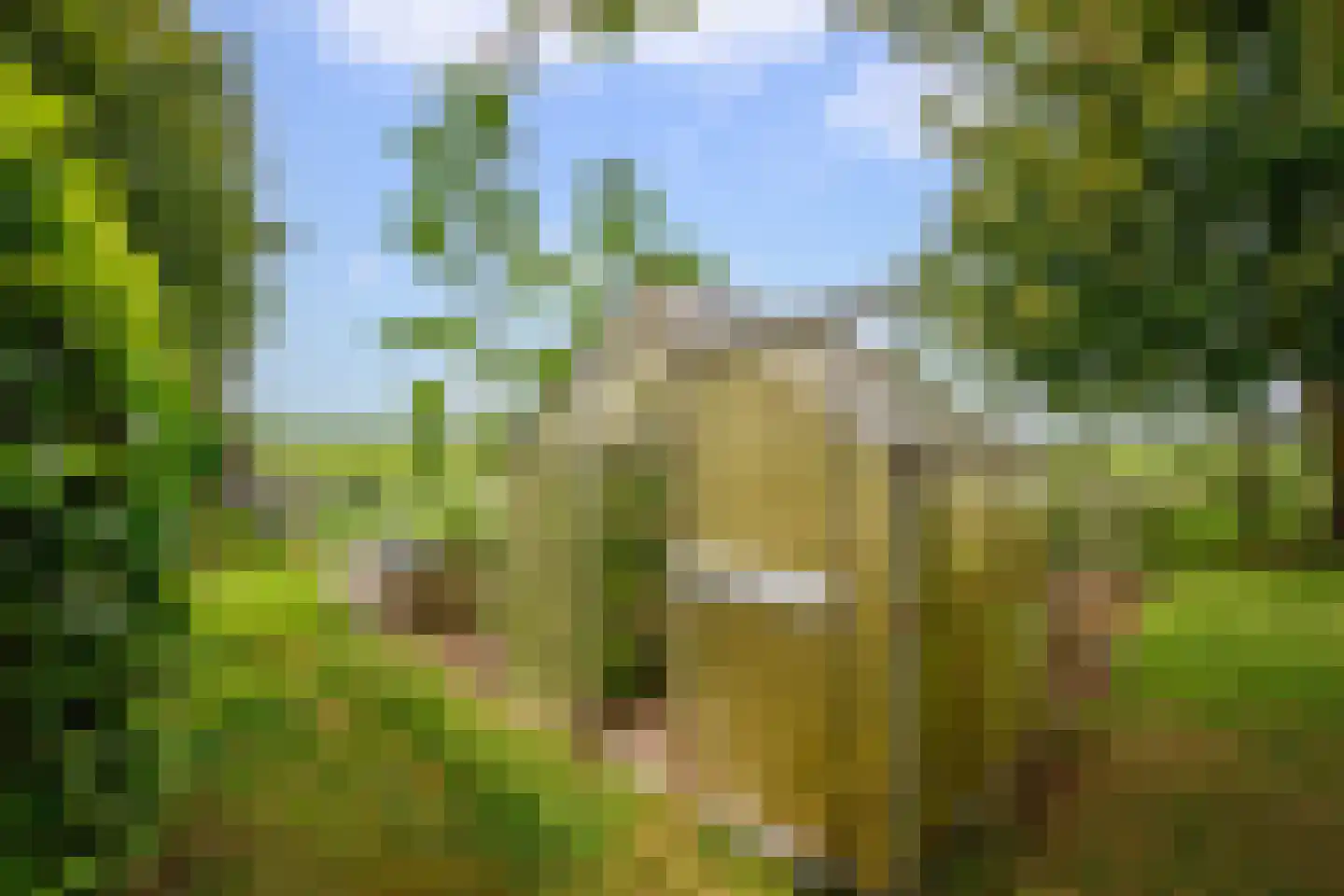 Benedenberg 29 a Bergambacht thumbnail 43