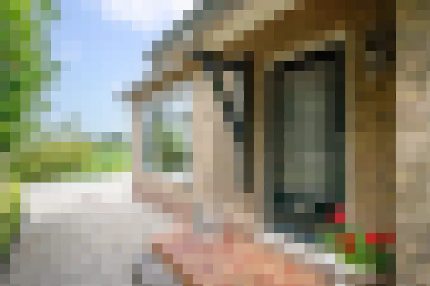 Benedenberg 29 a Bergambacht thumbnail 8