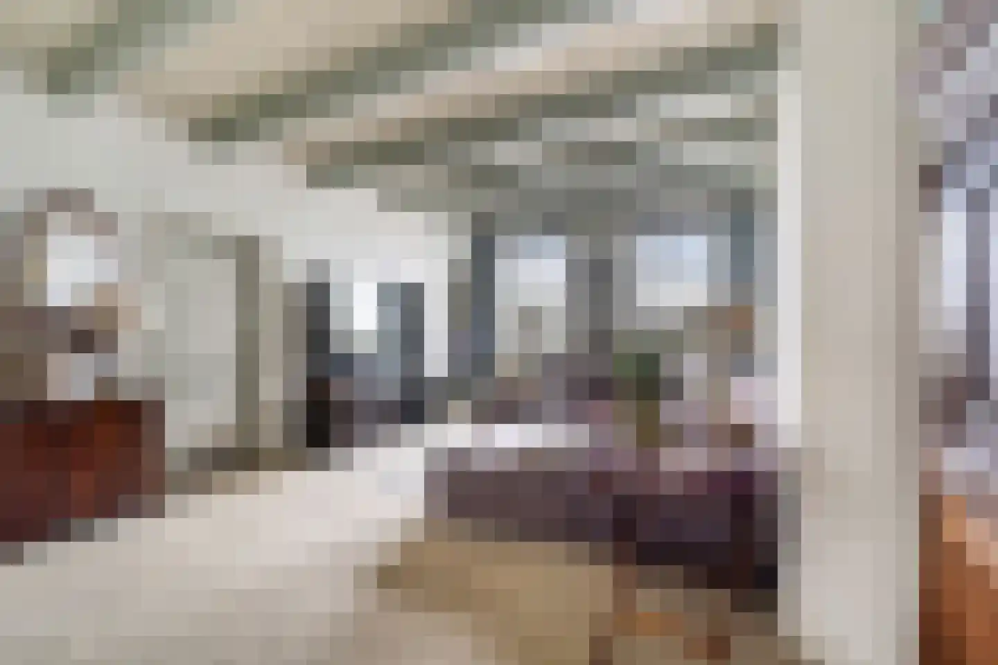 Benedenberg 83 Bergambacht thumbnail 31