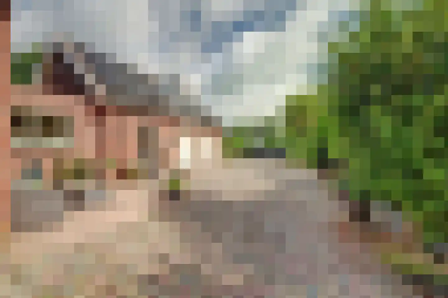 Benedenberg 99 a Bergambacht thumbnail 4