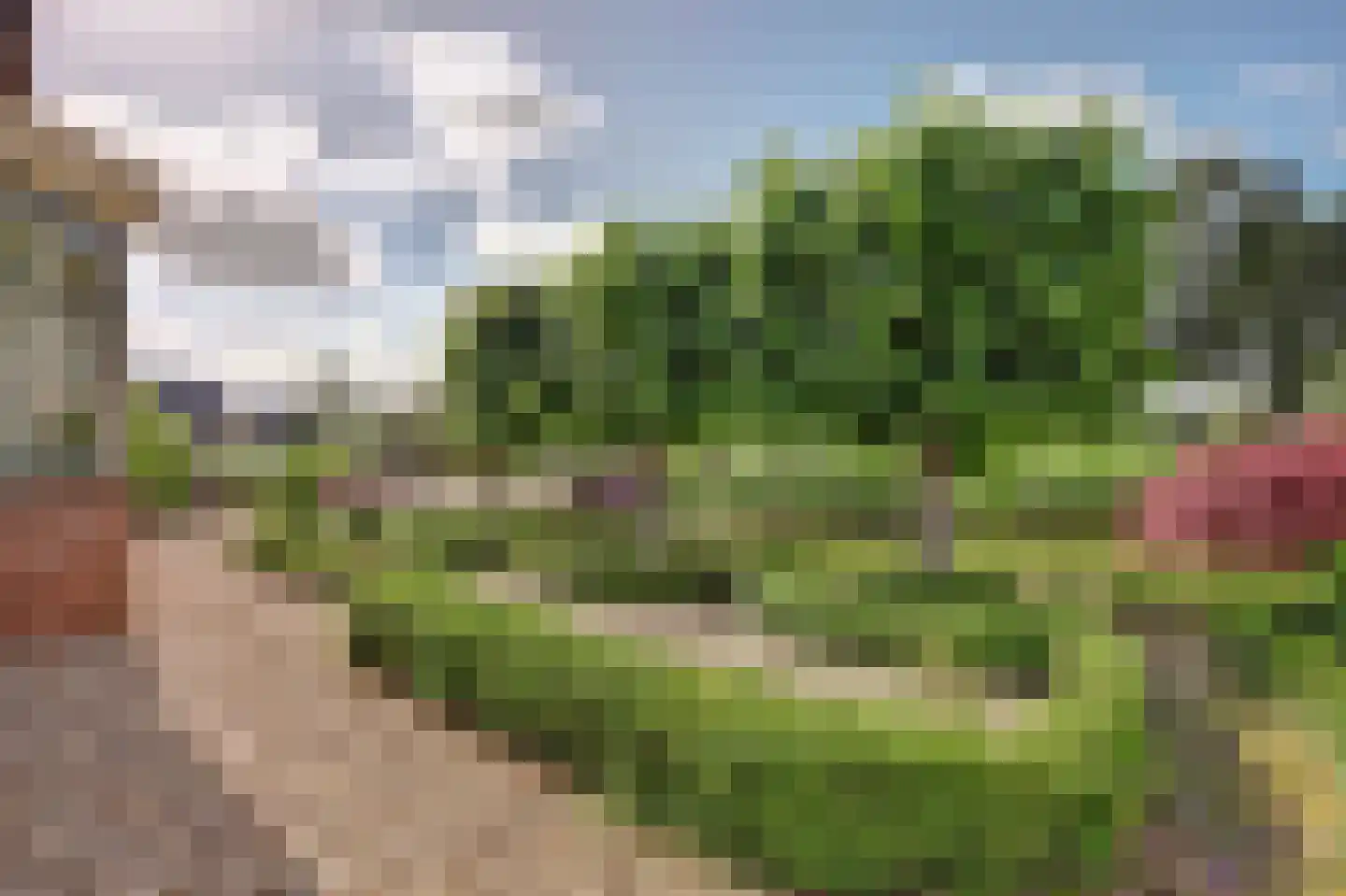 Benedenberg 99 a Bergambacht thumbnail 44