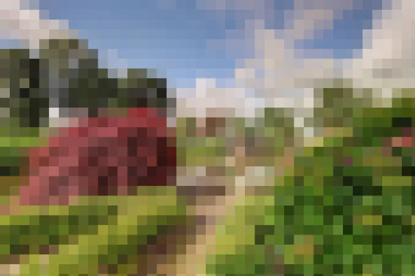 Benedenberg 99 a Bergambacht thumbnail 45