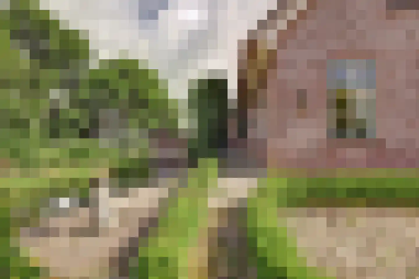 Benedenberg 99 a Bergambacht thumbnail 46