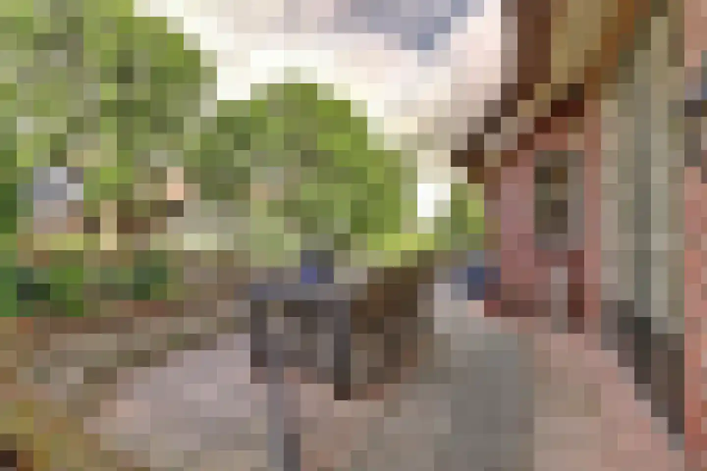 Benedenberg 99 a Bergambacht thumbnail 47