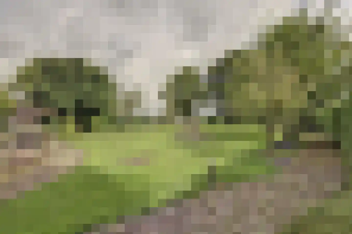 Benedenberg 99 a Bergambacht thumbnail 6