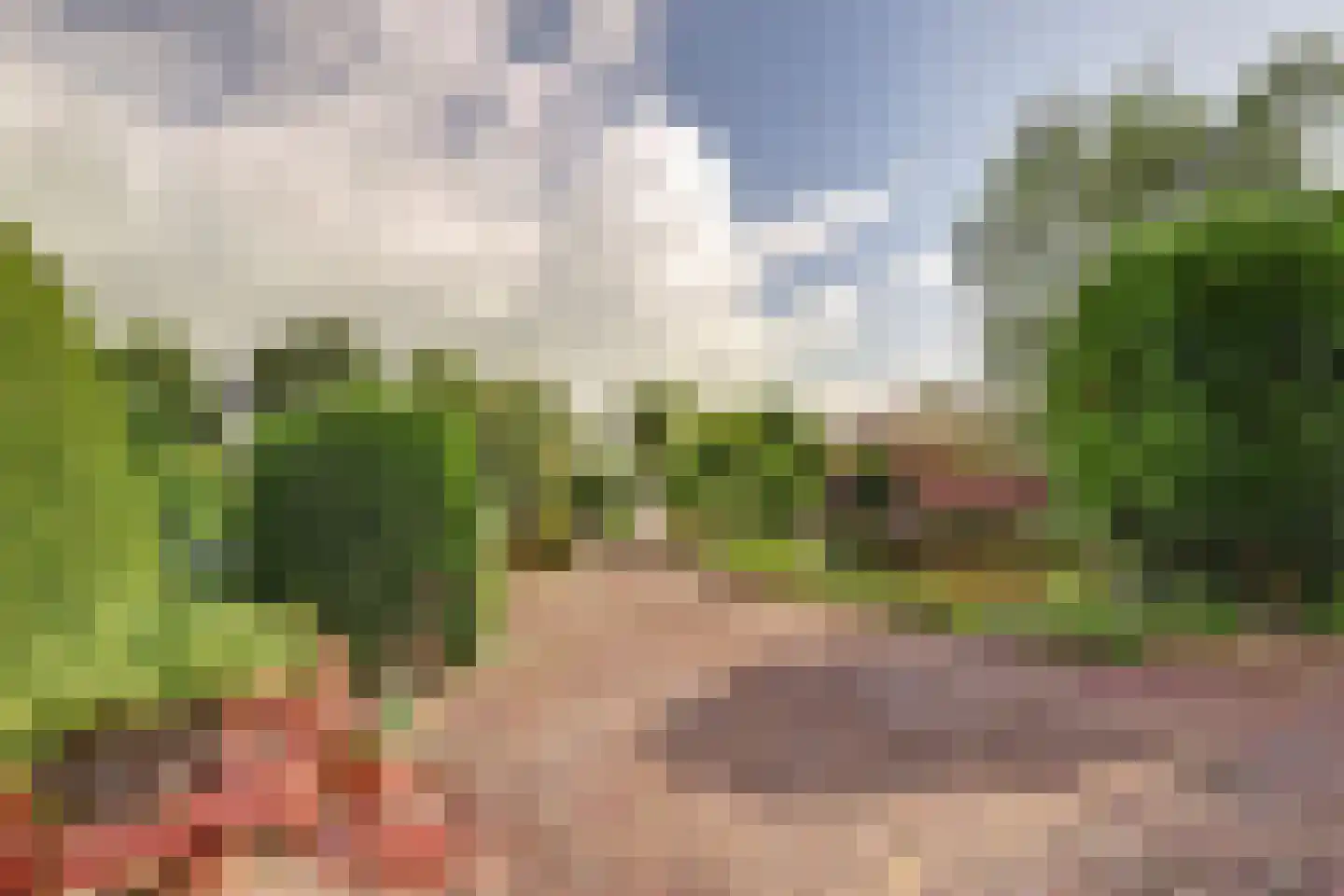 Benedenberg 99 a Bergambacht thumbnail 62