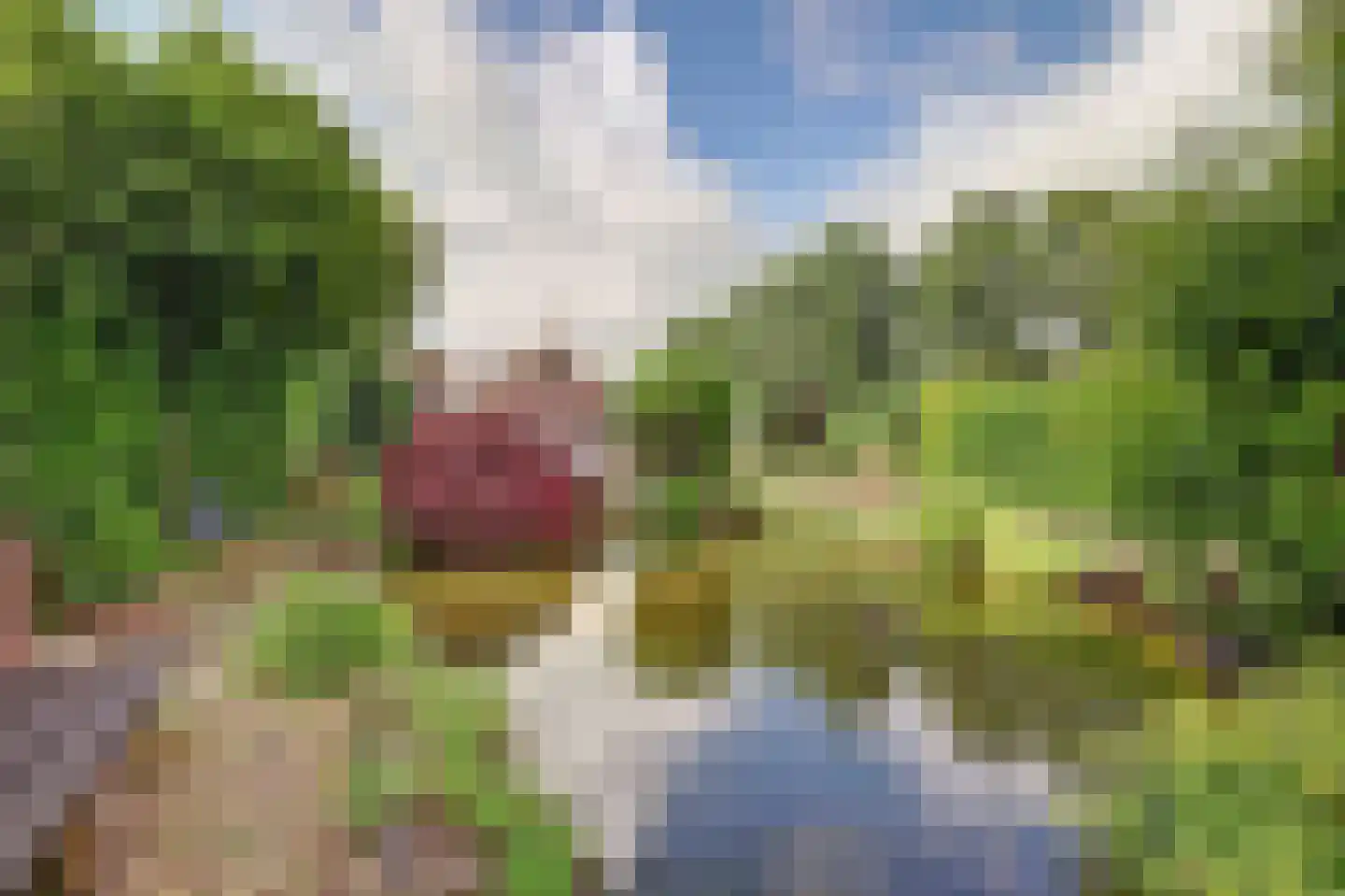 Benedenberg 99 a Bergambacht thumbnail 66