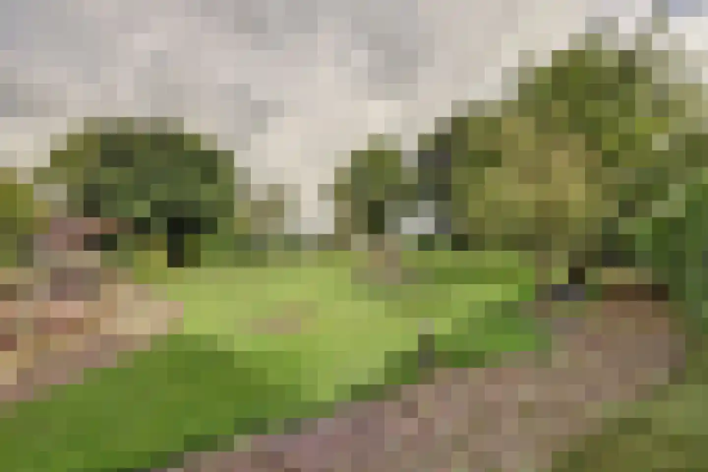 Benedenberg 99 a Bergambacht thumbnail 68